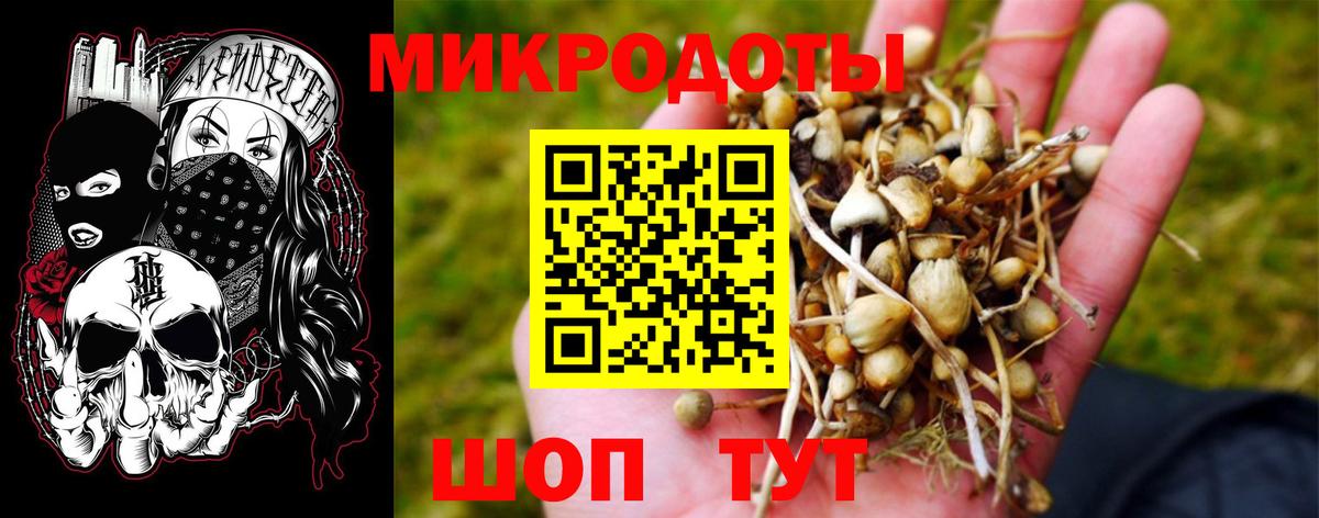 Норильск  ГАШ  COCAIN  Вход с VPN  Марихуана  Купить наркоту  НБОМе  LSD-25  ГАШИШ  МЕФ кристаллы  МЕТАМФЕТАМИН 